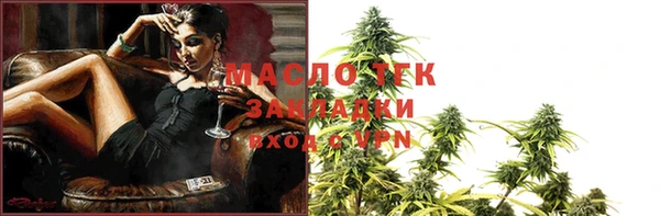 индика Нягань