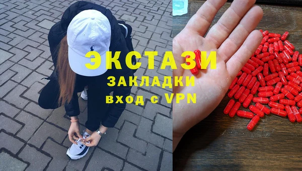 индика Нягань