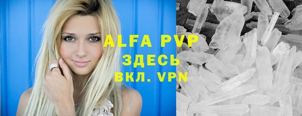 индика Нягань