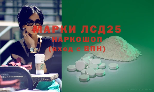 индика Нягань