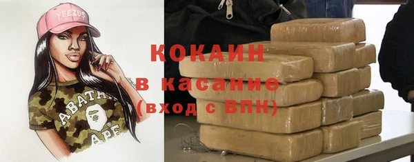 крисы Няндома