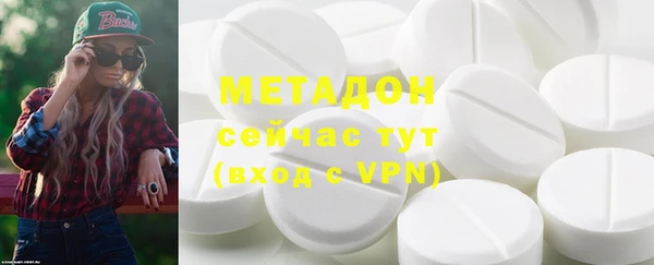 индика Нягань