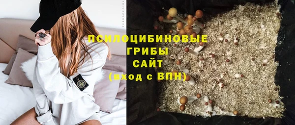 крисы Няндома