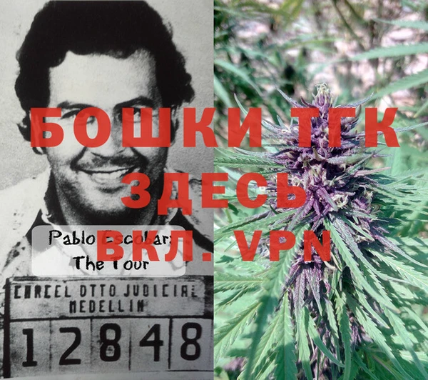 2c-b Абдулино
