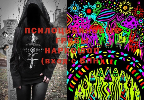 2c-b Абдулино