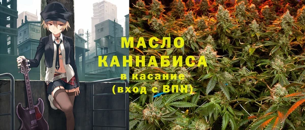 крисы Няндома